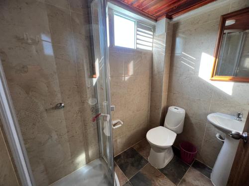 a bathroom with a shower and a toilet and a sink at Caney 1 in Moniquirá