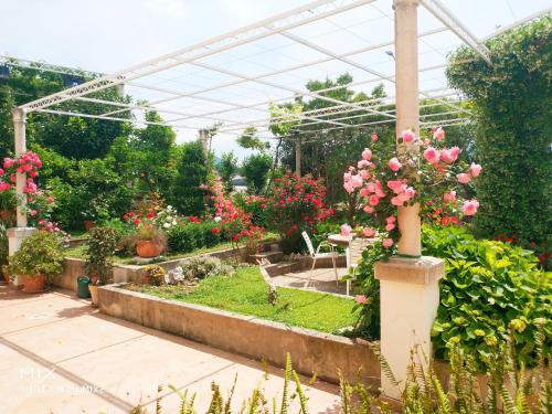 a garden with pink flowers in a greenhouse at Apartments & Rooms Čakelić in Mlini