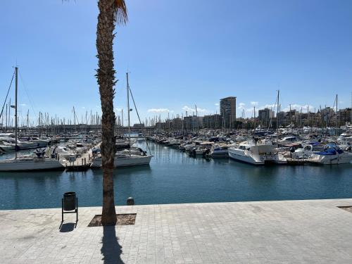 Large Central Apartment Torrevieja/ Near the beach
