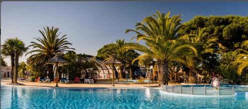 una gran piscina con palmeras en un complejo en Mobil Home excellence 6 personnes au camping Siblu Mer et Soleil, Saint George d'Oléron en Les Sables Vignier