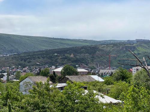 vistas a una ciudad con árboles y edificios en superior villas en Tiflis