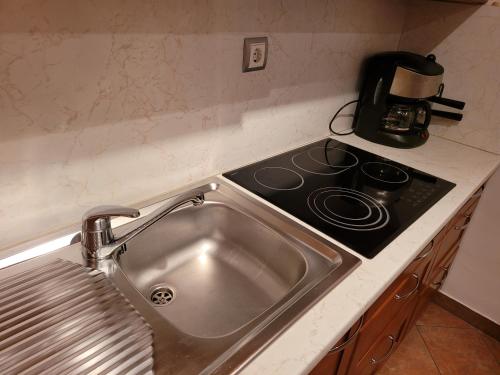 a kitchen counter with a sink and a stove at Appartement Camp Terme Čatež P93 in Čatež ob Savi