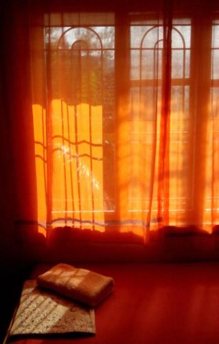 a window with a pillow on a table with a rug at Namaste Yoga Farm in Gokarna