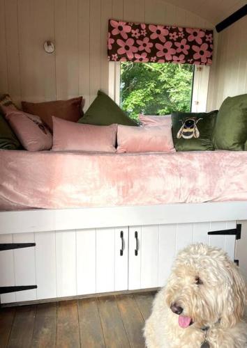 The Rookery في Lothersdale: كلب ابيض جالس بجانب سرير في غرفه