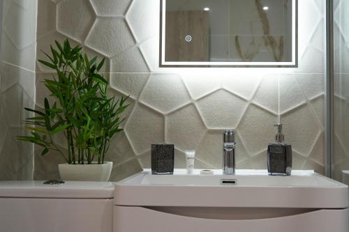 ロンドンにあるLuxury City Escape Apartmentsのバスルーム(シンク、鉢植えの植物付)