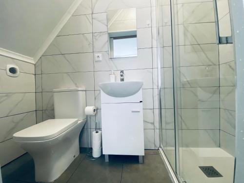 W łazience znajduje się toaleta, umywalka i prysznic. w obiekcie Porto City Centre Studios w Porto