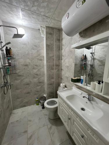 La salle de bains est pourvue d'un lavabo blanc et de toilettes. dans l'établissement Midtown Apartment, à Kardjali