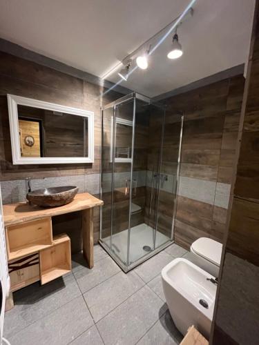 ein Badezimmer mit Dusche, Waschbecken und Toilette in der Unterkunft FRONT DE NEIGE MONTGENEVRE in Montgenèvre