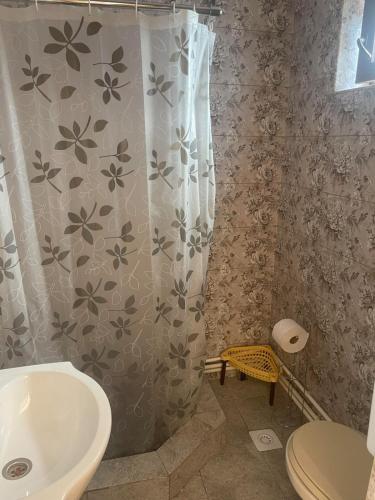 a bathroom with a shower curtain and a sink at Casa G in Douăzeci şi Trei August