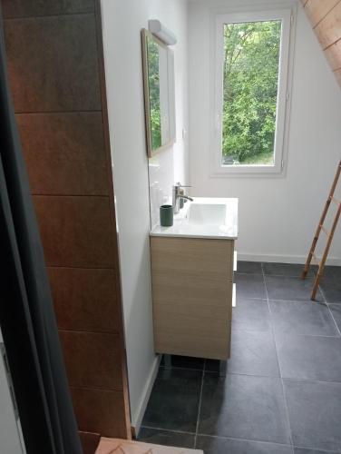 une salle de bain avec un lavabo et une fenêtre dans l'établissement Châlet montagne 6 personnes, à Laruns