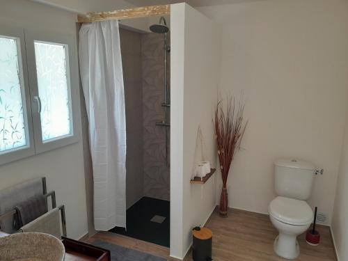 łazienka z toaletą i prysznicem w obiekcie Le Feuille Sonj' by LONBRAZ VOLKAN w mieście Saint-Philippe