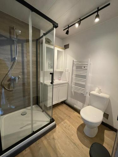 une salle de bain avec toilettes et douche en verre dans l'établissement Spacieux appartement à Blois avec Wifi gratuit, à Blois