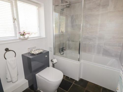 a bathroom with a shower and a toilet and a tub at The Duck House in Treffgarne