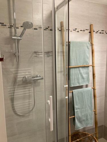 een badkamer met een glazen douche en blauwe handdoeken bij Tournamy Les Olivier in Mougins