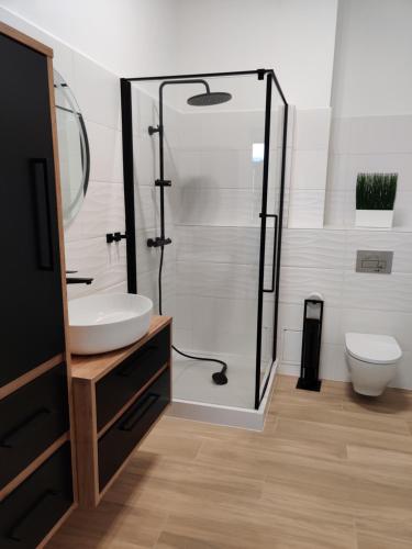 a bathroom with a shower and a sink and a toilet at apartament 2 pokoje in Kamień Pomorski