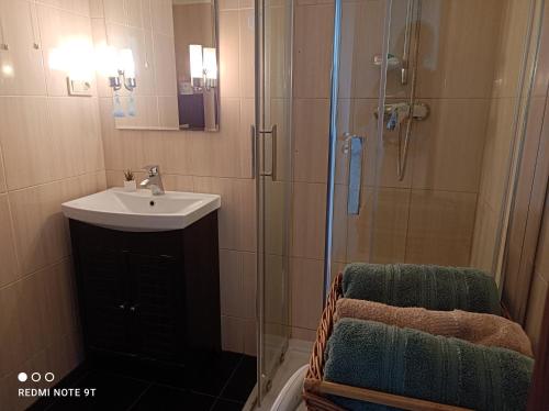 W łazience znajduje się umywalka oraz prysznic ze zlewem. w obiekcie Apartament 6 Pietro w Toruniu