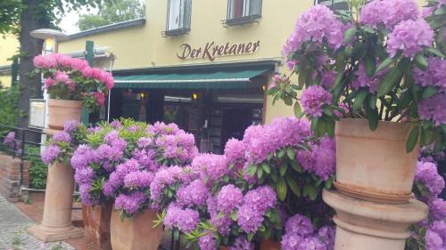 a bunch of purple flowers in pots in front of a building at Pension Der Kretaner in Berlin