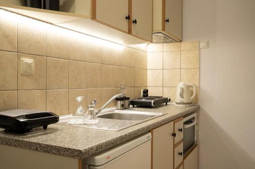 a kitchen counter with a sink and a toaster at Evaggelia rental apartments in Skotína