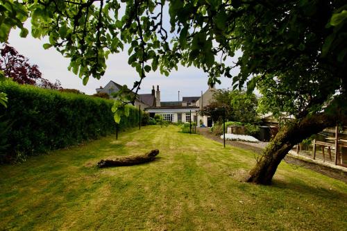 Cosy country cottage in Central Scotland في Buchlyvie: شجرة ملقاة على العشب أمام المنزل