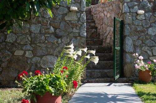 Gallery image of Studios Kofos Limin in Porto Koufo