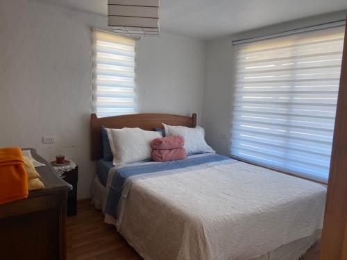 een slaapkamer met een bed met 2 kussens erop bij Cabañas Freirina in Freirina