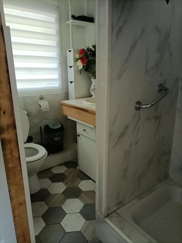 a bathroom with a toilet and a sink and a shower at Petit havre de paix in La Bréole