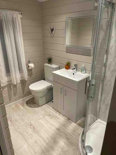 a bathroom with a toilet and a sink and a shower at Country Cabin Omagh in Omagh