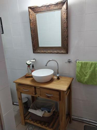 ein Bad mit einem Waschbecken und einem Spiegel in der Unterkunft La Pepita in Ciudad Lujan de Cuyo