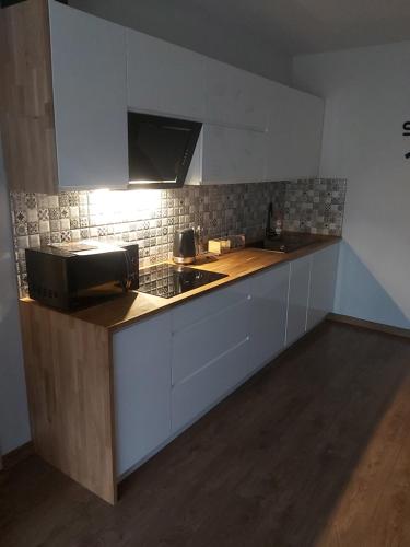 a kitchen with a counter with a stove and a microwave at Dębowy Apartamenty/Pokoje in Dębno
