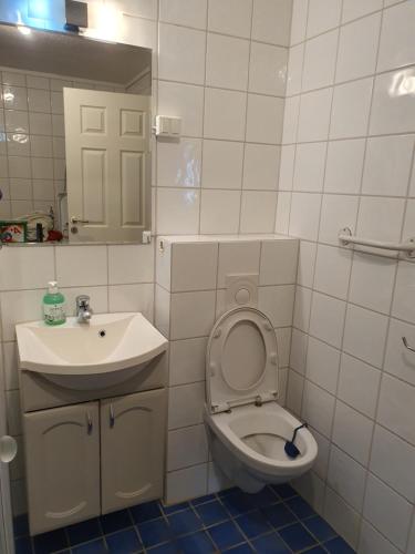 a small bathroom with a toilet and a sink at Apartment Kongsgård in Kristiansand
