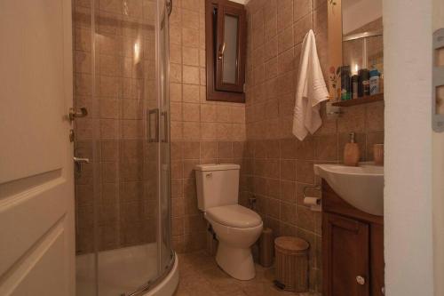 y baño con aseo, lavabo y ducha. en Christy's House Sea View, en Agios Andreas