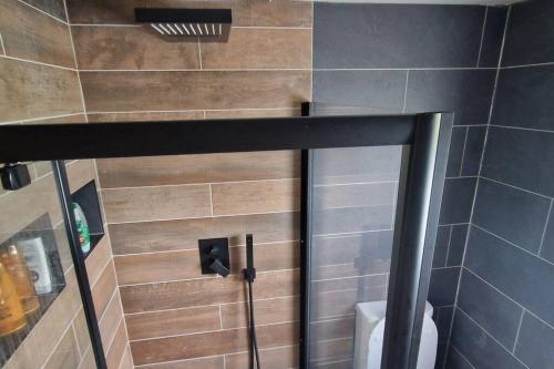 a bathroom with a shower with a toilet in it at MT. Leinster View Cabin in Enniscorthy