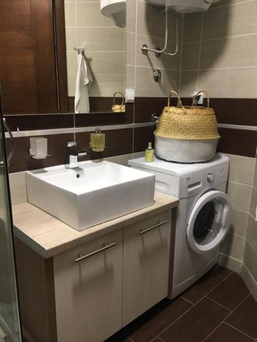 a bathroom with a sink and a washing machine at Apartment Jasmina in Krimovice