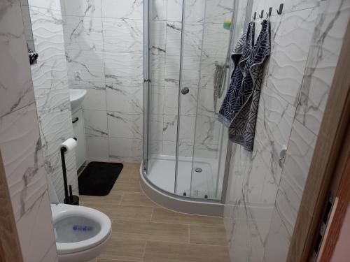 シフィノウイシチェにあるMieszkanie 2 pokojeのバスルーム(シャワー、トイレ付)