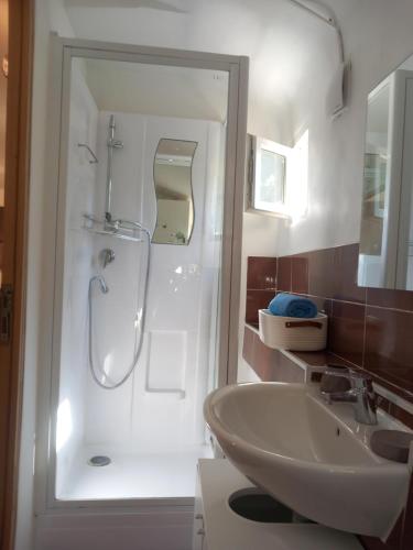 een badkamer met een wastafel en een douche bij Jolie F3 à 10 mn aéroport d'Orly in Juvisy-sur-Orge