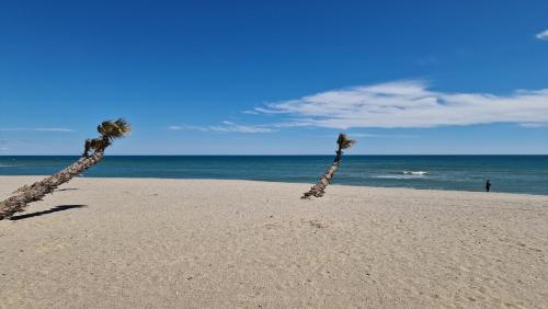 Zdjęcie z galerii obiektu Appartement 150 mètres de la mer w mieście Le Barcarès