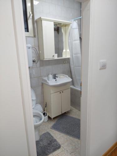 a bathroom with a toilet and a sink at ProgressoLux in Valjevo