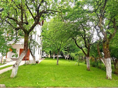 a green yard with trees in front of a house at Vila Gardenia in Sarajevo