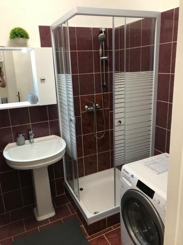 a bathroom with a shower and a sink and a washing machine at Központi apartman in Kiskunfélegyháza