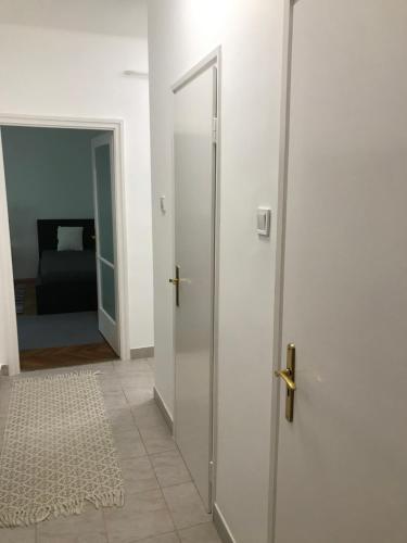 Központi apartman 6100 Kiskunfélegyháza,  Móra Tér 16. 1. em 5. kép - 3