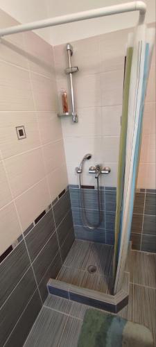 a bathroom with a shower with a shower curtain at Buena Vista in Aegenitissa