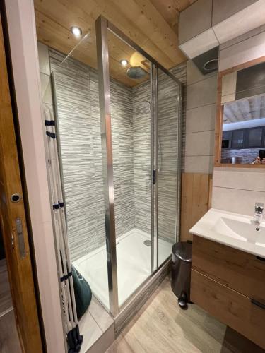 a bathroom with a shower and a sink at Appartement "Le Sporting" à 5 min des pistes in La Salle Les Alpes
