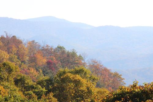 a forest of trees with mountains in the background at A Slice of High Country Heaven, Seven Devils Condo in Seven Devils