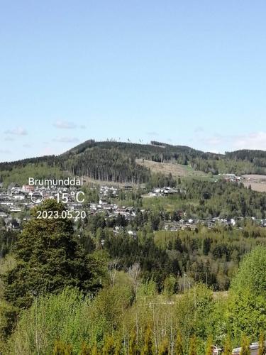 a view of a town on a hill with trees at Ett-to rom til leie i et privat hus in Brumunddalen