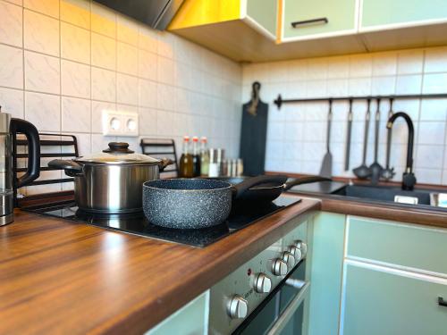 uma cozinha com fogão e panela em Elbling Apartment mit Terrasse - Netflix - Parkplatz - Weinbergblick em Meißen