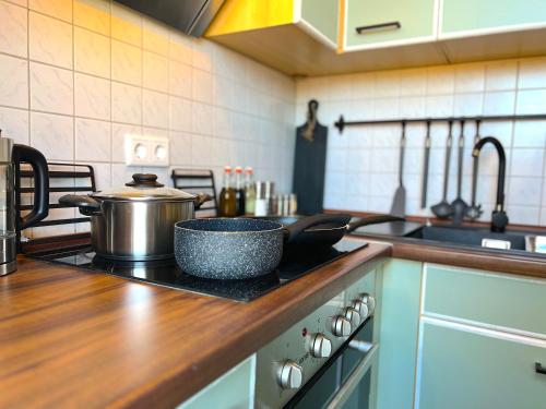 a kitchen with a stove with a pot on it at Elbling Apartment mit Terrasse - Netflix - Parkplatz - Weinbergblick in Meißen