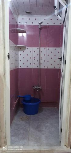 a bathroom with a blue toilet in a room at residhome in Sétif