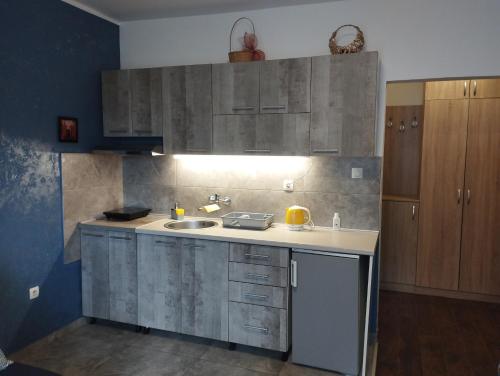 a kitchen with a sink and wooden cabinets at Apartman Tatjana in Novi Sad