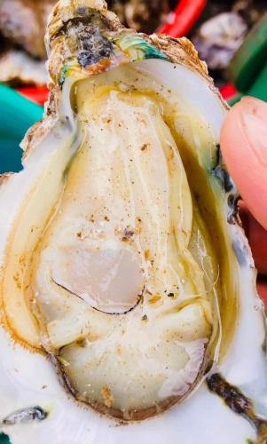 a close up of a oyster on a plate at Homestay San Hô in Dong Hoi