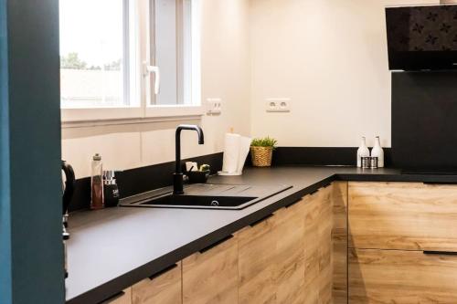 a kitchen with a sink and a counter top at La Terrasse du Sentier in Sangatte